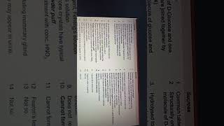 DisaccharidesDifference between Sucrose and Lactose Class 11 Biology A O levels MDCAT [upl. by Riddle]