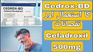 Cedrox BD 500mg Uses  Cedrox BD Tablet Side Effects  Cefadroxil 500mg Uses in UrduHindi [upl. by Juieta]