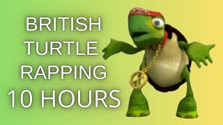 British Turtle Rapping 10 Hours [upl. by Woodman537]