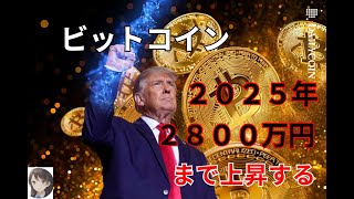 ビットコイン ２０２５年 ２８００万円 （１８万ドル）まで上昇する 徹底解説 [upl. by Riella683]