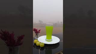 Glow Naturally with Amla Juice I Amla Juice Recipe 🍹💚 amlajuice amla shorts recipe amlakefayde [upl. by Annirtak402]