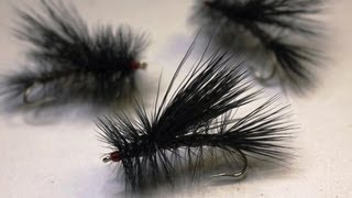 How to tie a Black Stimulator  Adult Stonefly [upl. by Azile540]