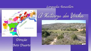 LanguedocRoussillon  A Natureza dos Vinhos  Documentário Completo [upl. by Samid]