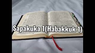 Tusi Paia Samoa  Feagaiga Tuai Sapakuka 1 Old Testament Habakkuk 1 [upl. by Enylcaj]