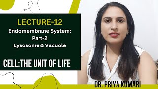 CLASS 11  ENDOMEMBRANE SYSTEM PART 2  LYSOSOME amp VACUOLE  DR PRIYA KUMARI [upl. by Foss999]