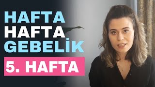 Hafta hafta gebelik  5 Haftalık Gebelik [upl. by Scherle992]