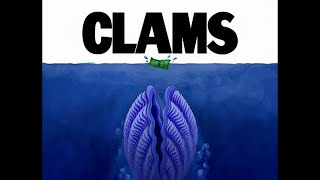 Clams Soundtrack [upl. by Napas]