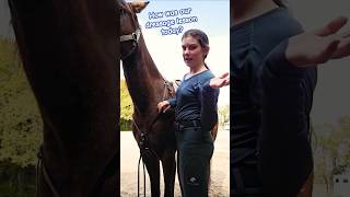 Sometimes refresher lessons with dressage can help with jumping horsetraining dressage eventing [upl. by Gan]