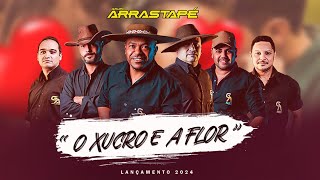 Grupo Arrastapé  O Xucro e a Flor  Lançamento 2024 [upl. by Sager20]