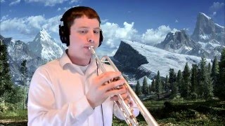 Han and Leia from quotStar Wars The Force Awakensquot Trumpet Cover [upl. by Myrtie]