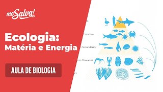 🦠 O que estudar para o ENEM BIOLOGIA [upl. by Sera]