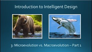 3 Microevolution vs Macroevolution Part 1 [upl. by Corso]