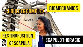 scapulothoracic joint biomechanics resting position of scapula [upl. by Meedan425]