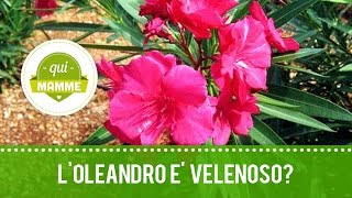 Loleandro è velenoso  Bimbi in giardino  di QuiMamme [upl. by Eikciv]