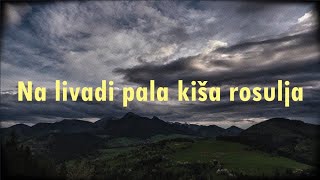 Zlatko Pejaković  Na livadi pala kiša rosulja Official lyric video [upl. by Emlin718]