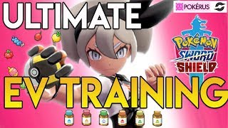 HOW TO GET COMPETITIVE POKEMON  EV TRAINING GUIDE in Sword and Shield [upl. by Neltiak]