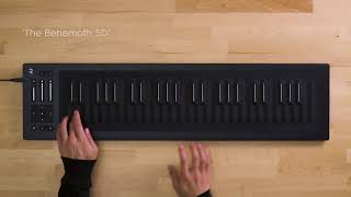 Strobe2 Expander All About That Bass amp Seaboard RISE [upl. by Eberhard]