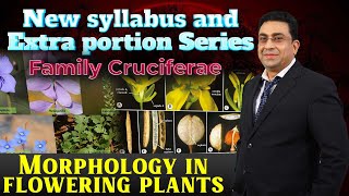 New syllabus and Extra portion Series I Family Cruciferae I Morphology in flowering plants [upl. by Leval]