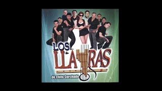 Los Llayras  Vuela Mariposa Audio Oficial [upl. by Nnaylime460]