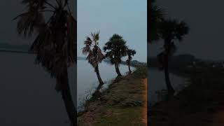 Kolleru subscribe andhrapradesh freshwaterlake eluru trending shorts godavari [upl. by Danell]