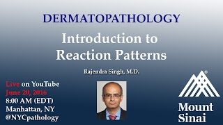 Dermatopathology Introduction to Reaction Patterns w Dr Singh [upl. by Jeminah]