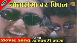 Chautarima Barpipal  Ajambari Maya Movie Song  Uttam Pradhan  AB Pictures Farm  BG Dali [upl. by Fiona]