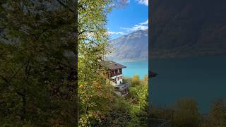 This is autumn in Switzerland youtubeshorts travel nature alp iseltwald switzerland autumn [upl. by Nanoc429]