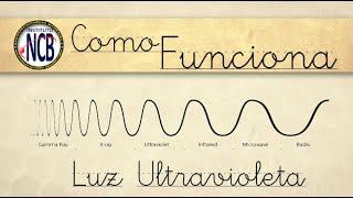 Como Funciona  A Luz Ultravioleta [upl. by Thurber202]