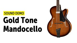 Gold Tone Mandocello  Sound Demo no talking [upl. by Chari]