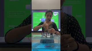 Chloralkali Process ll learningscience education educationalexperiments scienceforkids stem [upl. by Ahsikal]