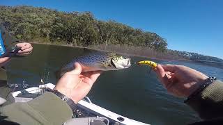 Lake Eildon Big River Fishing [upl. by Annayd]