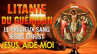 LITANIE du PRÉCIEUX Sang de JÉSUS 🙏 PRIÈRE de PROTECTION par le SANG PRÉCIEUX de JÉSUS [upl. by Zebe710]