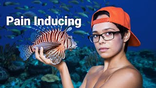 Lionfish The Invasion You Didnt Know About [upl. by Ajiat844]