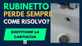 Il rubinetto miscelatore perde acqua quando e chiuso come si cambia la cartuccia Eurorama [upl. by Ydor]