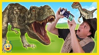 Life Size Giant TRex amp Raptor Dinosaurs with Park Ranger Aaron in Surprise Toy Opening Kids Video [upl. by Lewej]