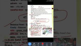 कंचनार  kanchanara  Major Plant  DG 2nd Paper Lecture  द्रव्यगुण  INDIAN AYURVEDIC DOCTOR [upl. by Satterlee]