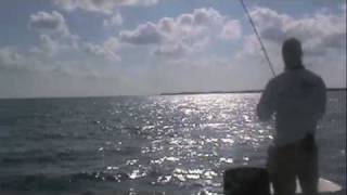 key west fly fishing tarpon [upl. by Spanos]