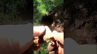 Metal Detecting Silver Spoon 1800 Silver Coins Relics Toys Farm Western NY metaldetecting shorts [upl. by Dareg]