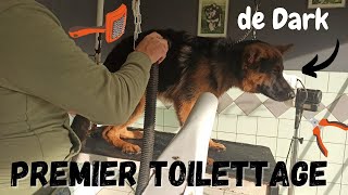 Premier Toilettage de Dark 😅🧽 [upl. by Acinna456]