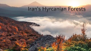 Iran’s Hyrcanian Forests in Autumn UNESCO World Heritage [upl. by Yleoj971]