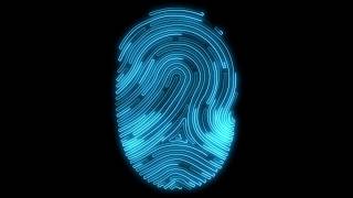 Digital Fingerprint Scan Animation [upl. by Dionne]