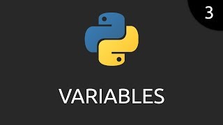 Python 3  variables [upl. by Aivatan]