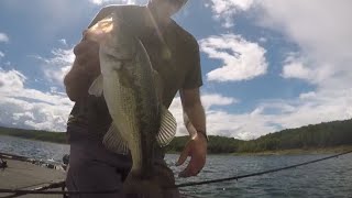 Little BASS Topwater action BULL SHOALS LAKE [upl. by Ellezaj]