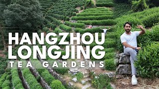 Exploring the Lush Longjing Tea Fields of Hangzhou  ZCMU Student [upl. by Nirahs907]