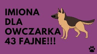 Imiona Dla Owczarka Niemieckiego 43 Fajne  Imionowo [upl. by Mcconaghy]