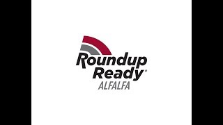 Roundup Ready Alfalfa [upl. by Neufer781]