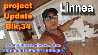 Linnea project Renovation update Blk34 Le moubreza phase3 San antonio Sto tomas Batangas EP588 [upl. by Aisital]