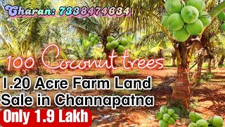 🔴SOLD🔴120 Acre farm Land sale in Channapatna Charan 7338474634 [upl. by Avivah282]