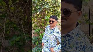 Priti ji manala laagli chahul💞💕💖 marathi song like subscribe ❤️ [upl. by Queena]