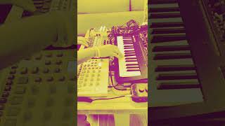 Ambient Jam korg miniloguexd sonicware ambient0 elektron modelcycles synth groovebox ehx [upl. by Gean]